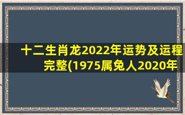 十二生肖龙2022年运势及运