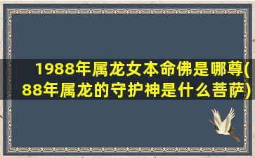 1988年属龙女本命佛是哪尊