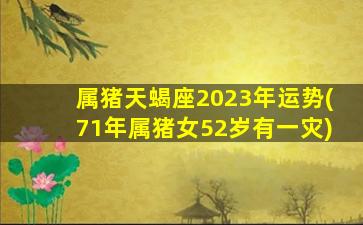 属猪天蝎座2023年运势(71年