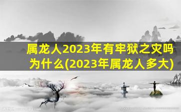 属龙人2023年有牢狱之灾吗为什么(2023年属龙人多大)