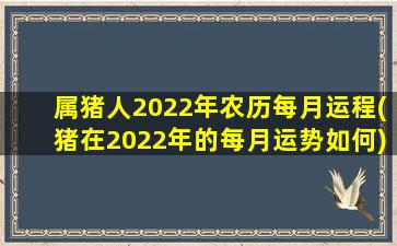 属猪人2022年农历每月运程