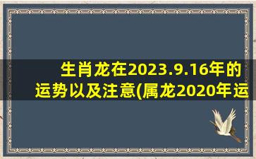 生肖龙在2023.9.16年的运势