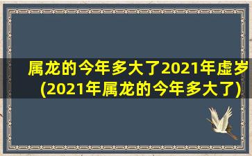 属龙的今年多大了2021年虚