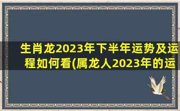 生肖龙2023年下半年运势及