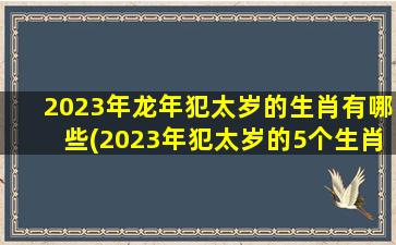 2023年龙年犯太岁的生肖有