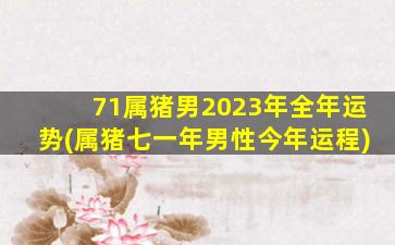 71属猪男2023年全年运势(属