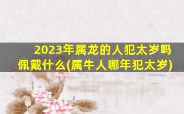 2023年属龙的人犯太岁吗佩