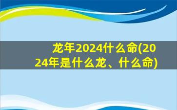 龙年2024什么命(2024年是什