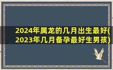 2024年属龙的几月出生最好