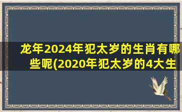 龙年2024年犯太岁的生肖有