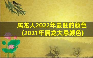 属龙人2022年最旺的颜色