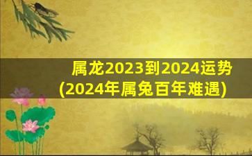 属龙2023到2024运势(2024年属