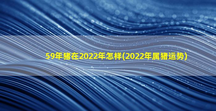 59年猪在2022年怎样(2022年