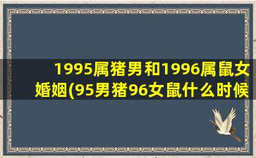 1995属猪男和1996属鼠女婚