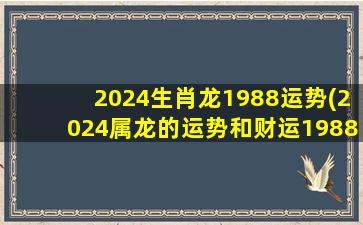 2024生肖龙1988运势(2024属龙的运势和财运1988年)