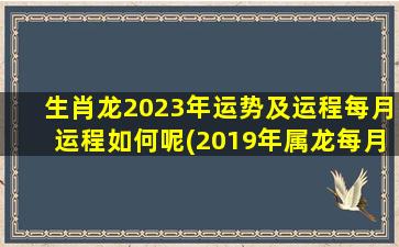 生肖龙2023年运势及运程