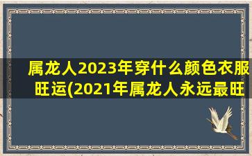 属龙人2023年穿什么颜色衣