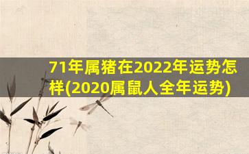 71年属猪在2022年运势怎样