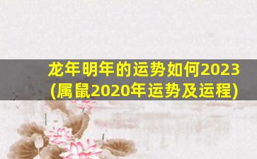 龙年明年的运势如何2023(属鼠2020年运势及运程)