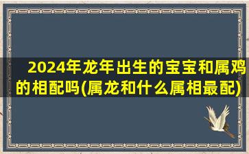 2024年龙年出生的宝宝和属鸡的相配吗(属龙和什么属相最配)