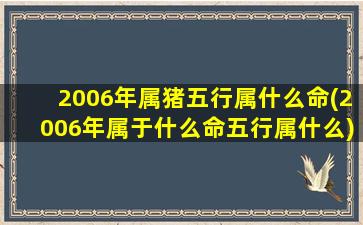 2006年属猪五行属什么命