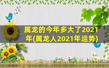 属龙的今年多大了2021年(属龙人2021年运势)