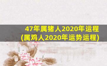 <strong>47年属猪人2020年运程(属</strong>