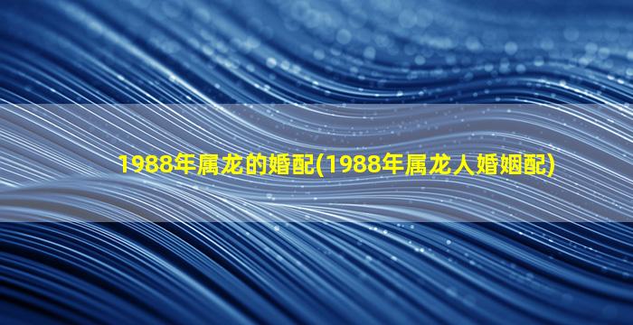 1988年属龙的婚配(1988年属