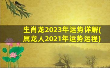 生肖龙2023年运势详解(属