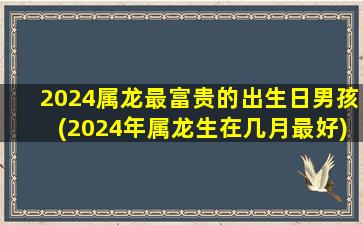 <strong>2024属龙最富贵的出生日男</strong>