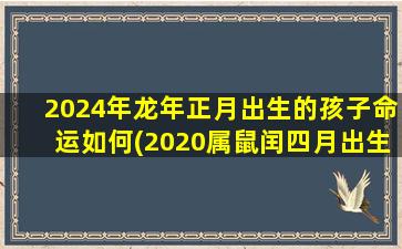 2024年龙年正月出生的孩