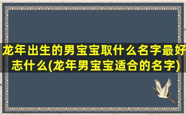 龙年出生的男宝宝取什么