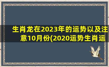 生肖龙在2023年的运势以及