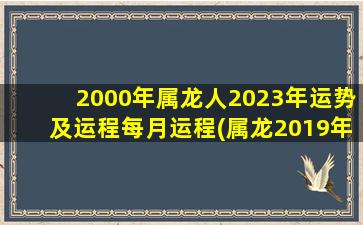 <strong>2000年属龙人2023年运势及</strong>