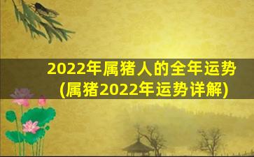 2022年属猪人的全年运势