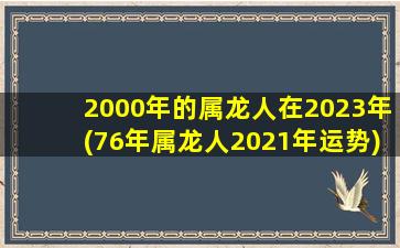 2000年的属龙人在2023年(7