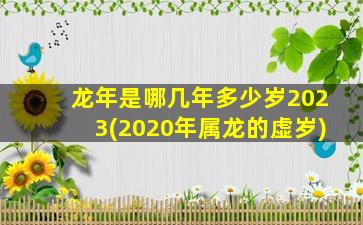 龙年是哪几年多少岁2023