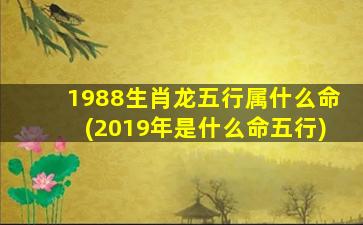 1988生肖龙五行属什么命