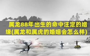 属龙88年出生的命中注定的