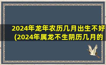 2024年龙年农历几月出生