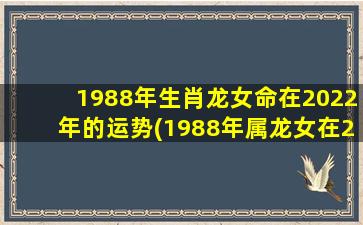 1988年生肖龙女命在2022年的运势(1988年属龙女在2022年的运势)