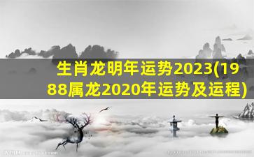 生肖龙明年运势2023(1988属龙2020年运势及运程)