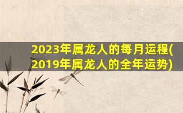 2023年属龙人的每月运程