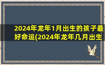 2024年龙年1月出生的孩子