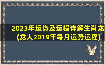 2023年运势及运程详解生肖龙(龙人2019年每月运势运程)