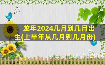 龙年2024几月到几月出生