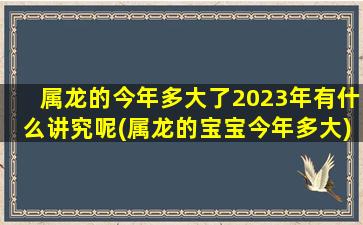 属龙的今年多大了2023年