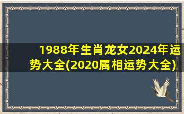 1988年生肖龙女2024年运势大全(2020属相运势大全)