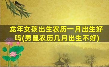 龙年女孩出生农历一月出生好吗(男鼠农历几月出生不好)