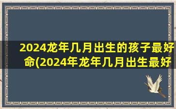 2024龙年几月出生的孩子最